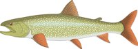 LAKTROUT.CMX