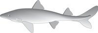 DOGFISH.CMX