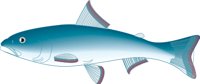 CHUM2.CMX