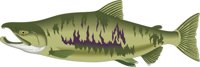 CHUM.CMX