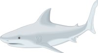B_SHARK.CMX