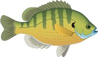 BLUEGILL.CMX