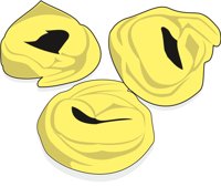 TORTELLI.CMX