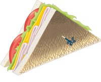SANDWICH.CMX