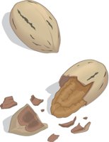 PECANS.CMX