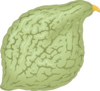 SQUASHT.CMX