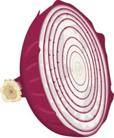 ONIONHAF.CMX