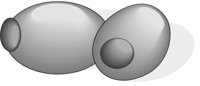OLIVEI.CMX