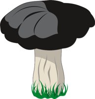 MUSHRM1.CMX