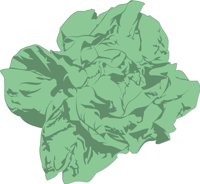 LETTUCE.CMX