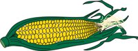 CORN.CMX