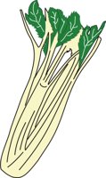 CELERY.CMX