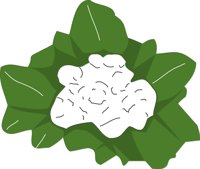 CAULIFLR.CMX