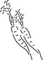 CAROTS_I.CMX