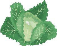 CABBAGET.CMX