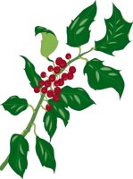 HOLLY.CMX