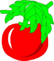 TOMATO.WMF
