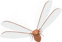 WINGED.CMX