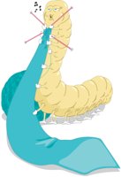 SILKWORM.CMX