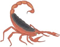 SCORPION.CMX