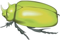 SCARAB.CMX