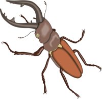 SBEETLE.CMX