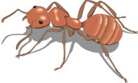 RED_ANT.CMX