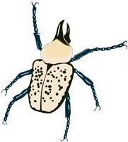 RBEETLE.CMX