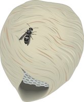 NEST.CMX