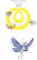 MOTHS.CMX