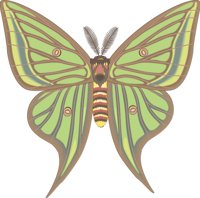 MOONMOTH.CMX