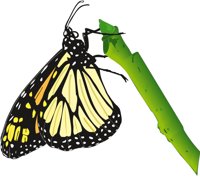 MONARCHB.CMX