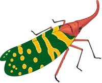 L_FLY.CMX