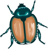 JAPBEETL.CMX