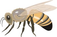 HONYBEE2.CMX