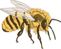 HONEYBEE.CMX