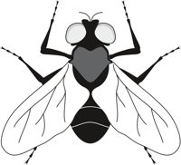 FLY.CMX