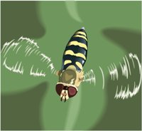 FLOWRFLY.CMX