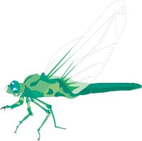 DRAGFLYC.CMX