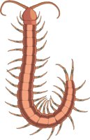 CENTIPET.CMX