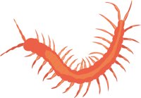 CENTIPED.CMX