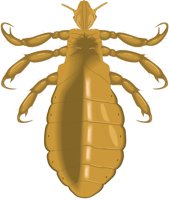 B_HLOUSE.CMX