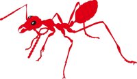 ANT.CMX
