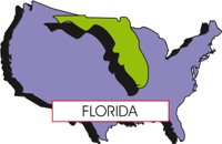 FLORIDA3.CMX