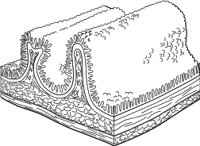VILLI.CMX