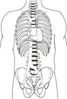 VENAC.CMX