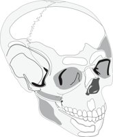 SKULLC.CMX