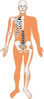 SKINSKEL.CMX