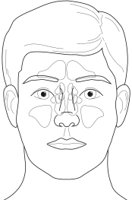 SINUS.CMX