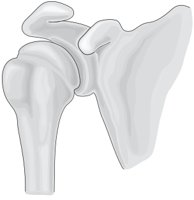 SHOULDER.CMX